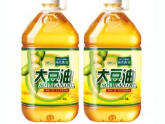 大豆油 大豆油