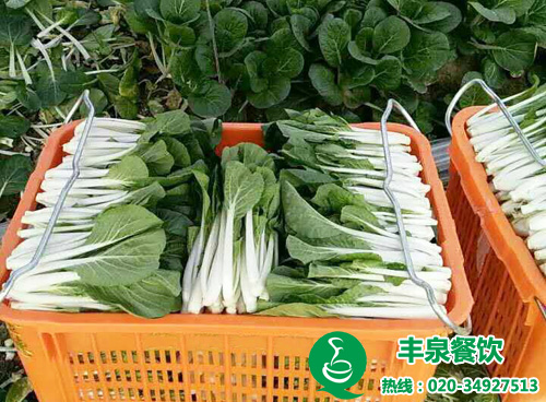 蔬菜配送解決食堂難題 企業(yè)學校食堂承包管理的好方法